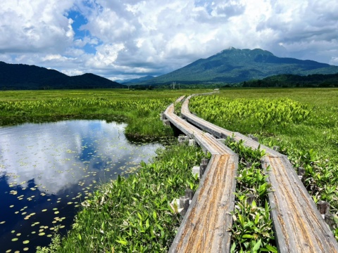 【日本健行聖地7日】水芭蕉盛開的季節 尾瀨高原濕地+白馬 雙國立公園健行｜無購物
